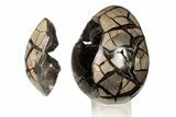 7.4" Septarian "Dragon Egg" Geode - Removable Section - #199994-3